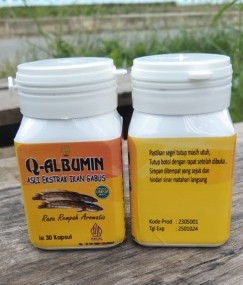 Ekstrak Ikan Gabus "Q-ALBUMIN"